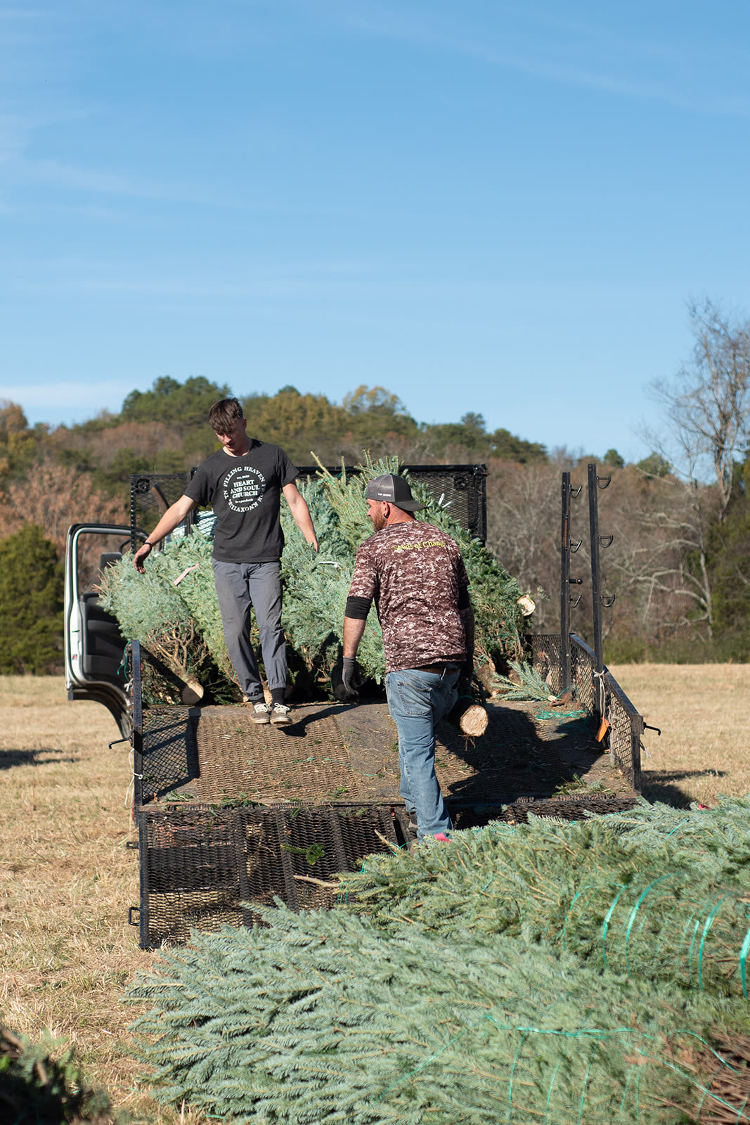 A child among the trees at Raise the Tree
