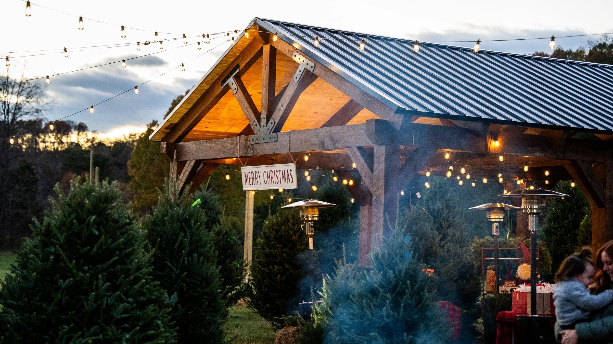 Raise the Tree farm pavilion glowing under string lights at dusk