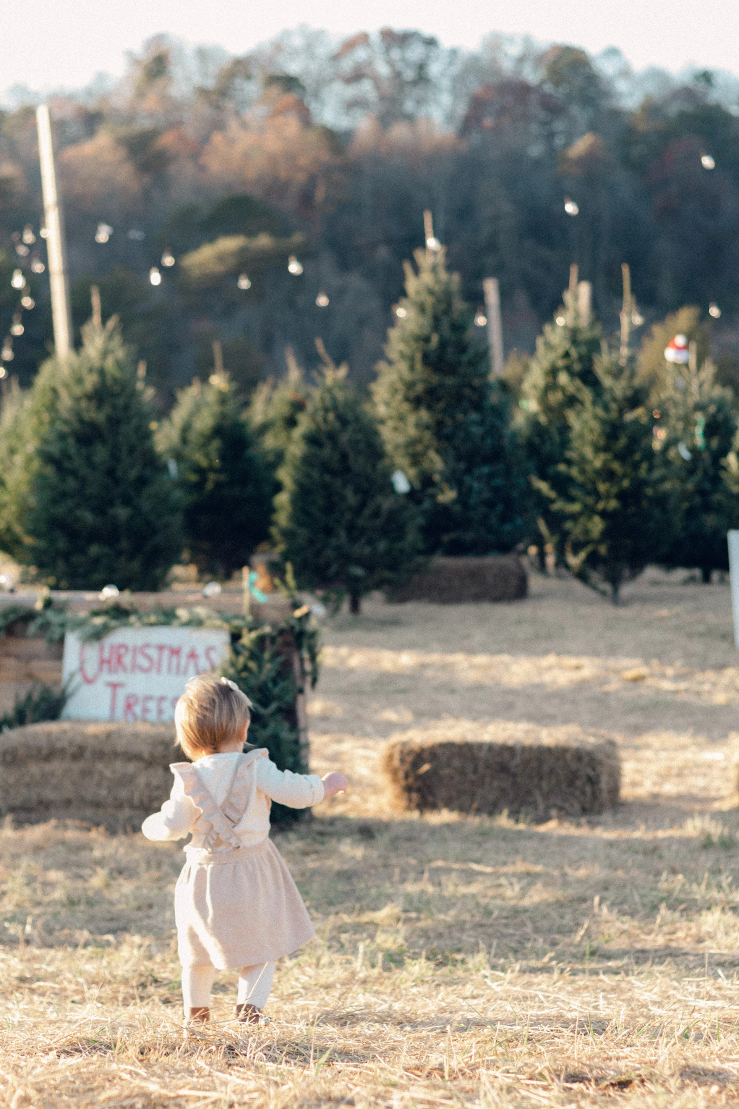Families creating Christmas memories at the farm